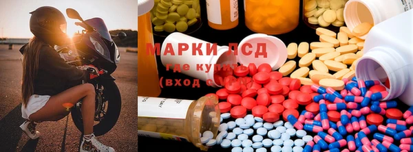 PSILOCYBIN Новозыбков