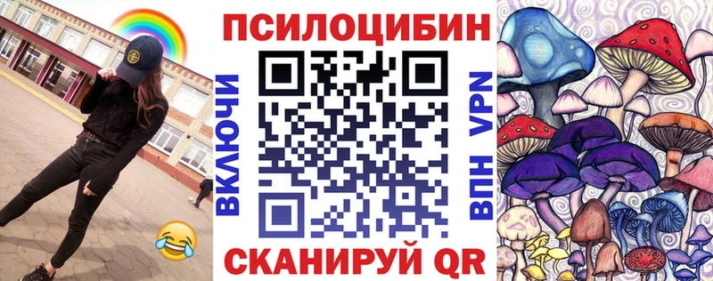 Галлюциногенные грибы Psilocybe  мега tor  Туймазы 