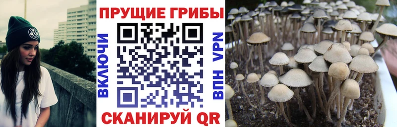 Галлюциногенные грибы Magic Shrooms Туймазы