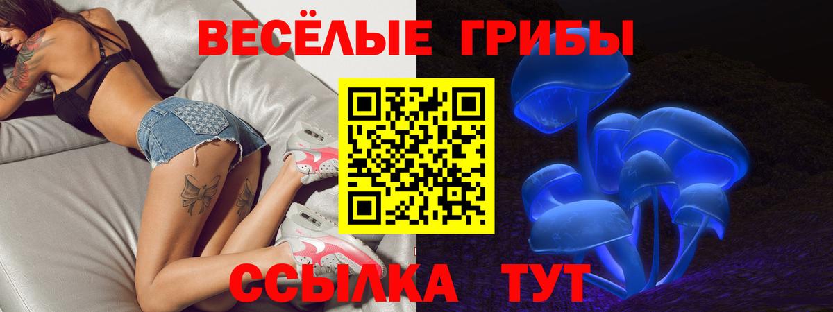 Галлюциногенные грибы мицелий  купить  сайты  Туймазы  Вход с VPN  Галлюциногенные грибы Cubensis 